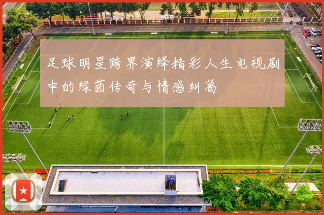 足球明星跨界演绎精彩人生电视剧中的绿茵传奇与情感纠葛