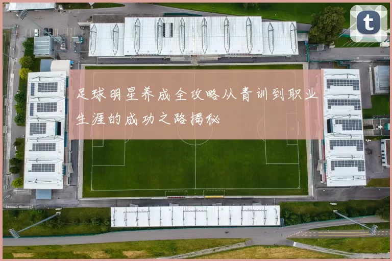 足球明星养成全攻略从青训到职业生涯的成功之路揭秘