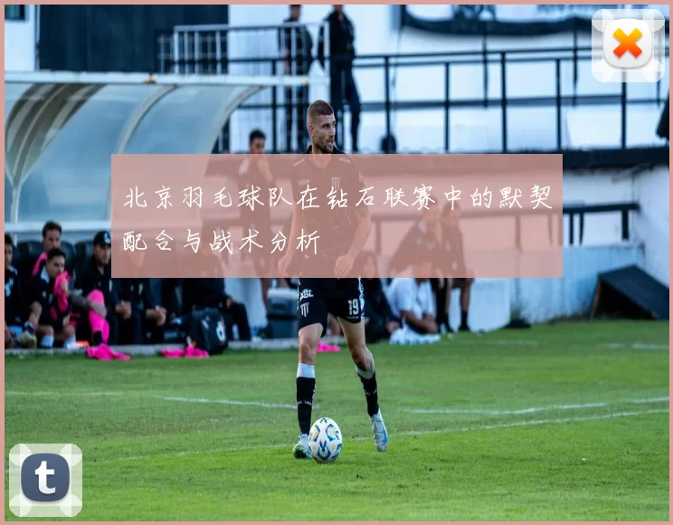 北京羽毛球队在钻石联赛中的默契配合与战术分析