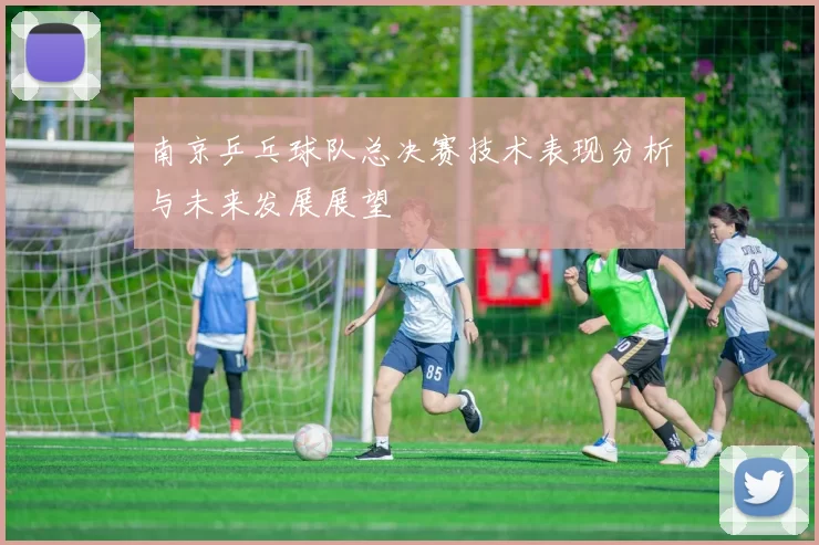 南京乒乓球队总决赛技术表现分析与未来发展展望