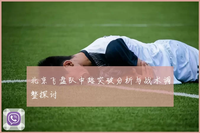 北京飞盘队中路突破分析与战术调整探讨