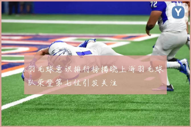 羽毛球意识排行榜揭晓上海羽毛球队荣登第七位引发关注