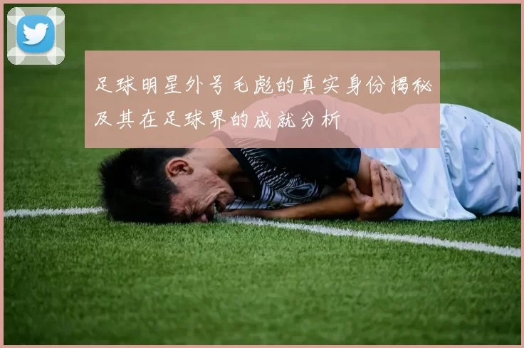 足球明星外号毛彪的真实身份揭秘及其在足球界的成就分析
