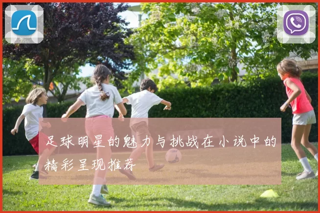 足球明星的魅力与挑战在小说中的精彩呈现推荐