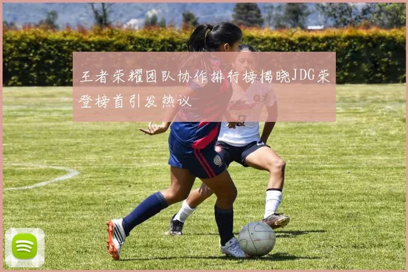 王者荣耀团队协作排行榜揭晓JDG荣登榜首引发热议