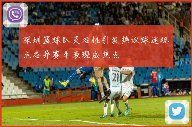 深圳篮球队灵活性引发热议球迷观点各异赛季表现成焦点