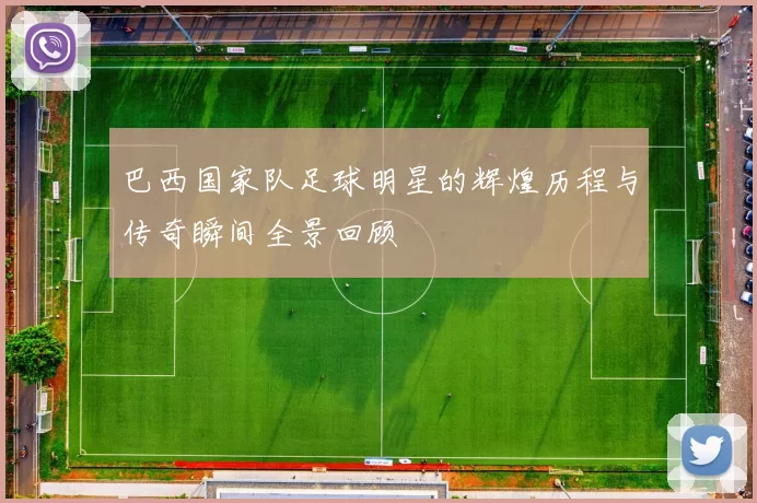 巴西国家队足球明星的辉煌历程与传奇瞬间全景回顾