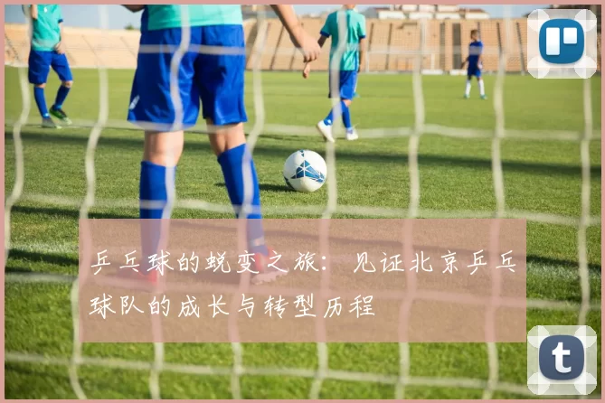 乒乓球的蜕变之旅：见证北京乒乓球队的成长与转型历程