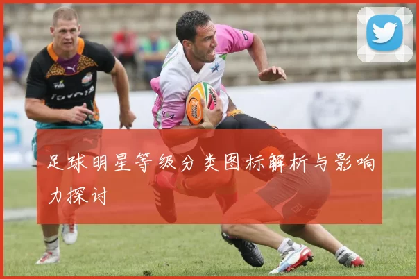 足球明星等级分类图标解析与影响力探讨