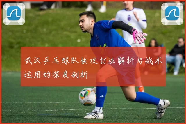 武汉乒乓球队快攻打法解析与战术运用的深度剖析