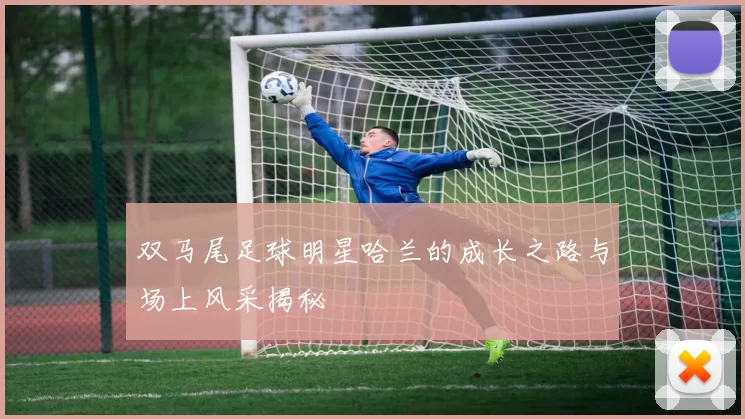 双马尾足球明星哈兰的成长之路与场上风采揭秘