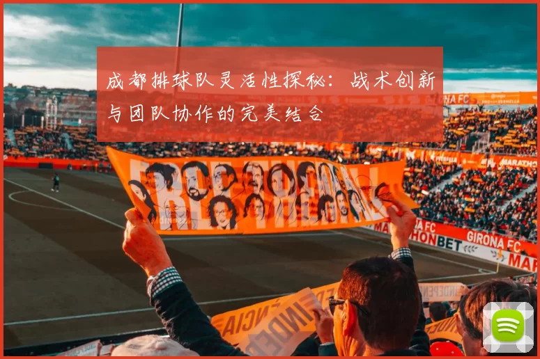 成都排球队灵活性探秘：战术创新与团队协作的完美结合