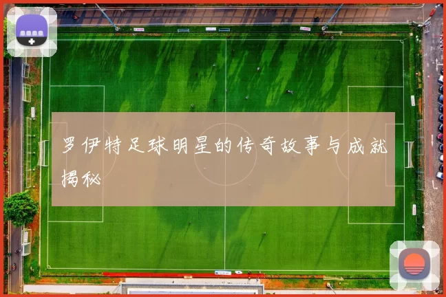 罗伊特足球明星的传奇故事与成就揭秘