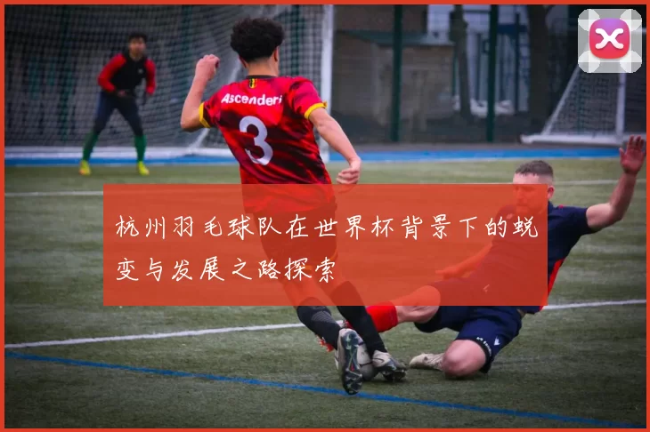 杭州羽毛球队在世界杯背景下的蜕变与发展之路探索