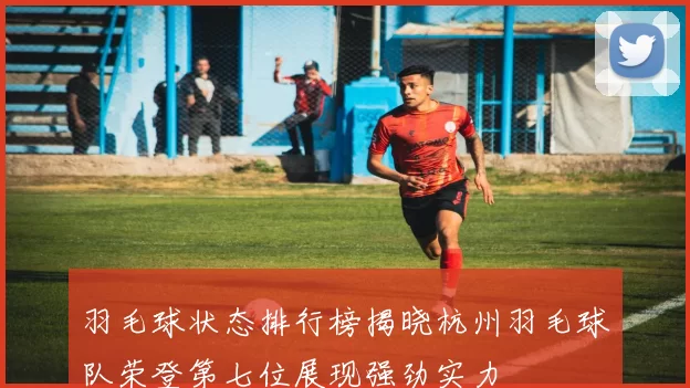 羽毛球状态排行榜揭晓杭州羽毛球队荣登第七位展现强劲实力