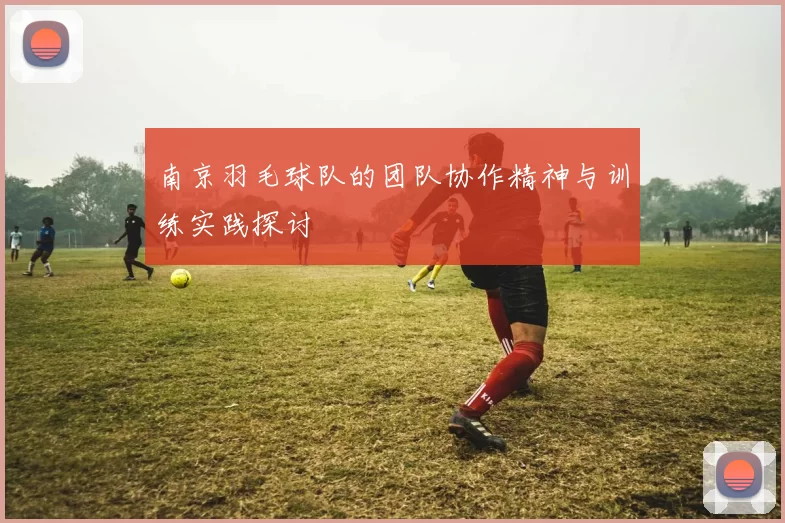 南京羽毛球队的团队协作精神与训练实践探讨